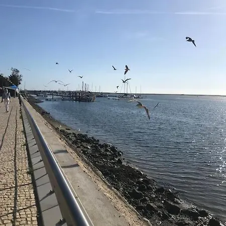 Magnifique Piscine Proche De La Quelfes
