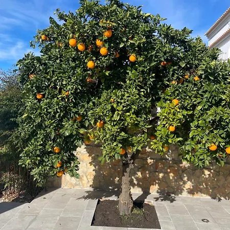 Magnifique Piscine Proche De La Willa Quelfes