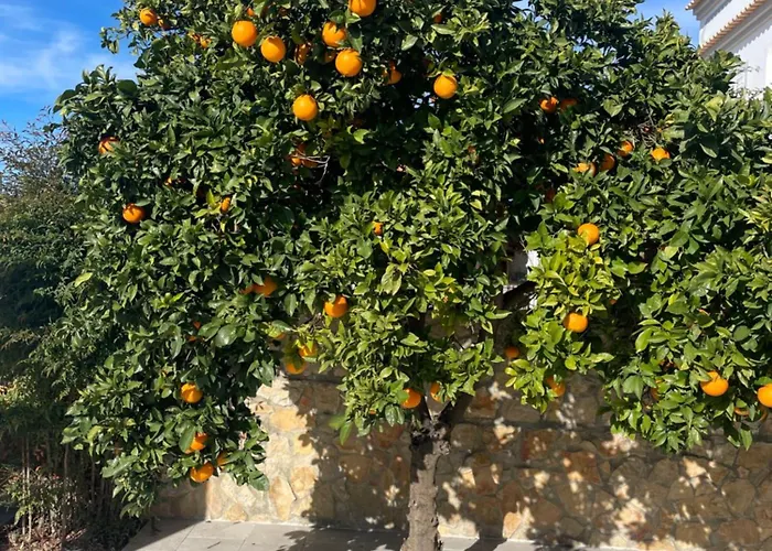 Magnifique Piscine Proche De La Willa Quelfes
